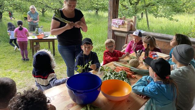 Aktivitäten im Unterricht gemeinsam mit der NaturSchule Pinzgau.